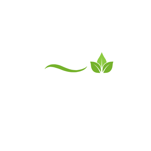 Alsadaat